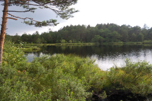 Bilde av NAPPERØDTJERNET